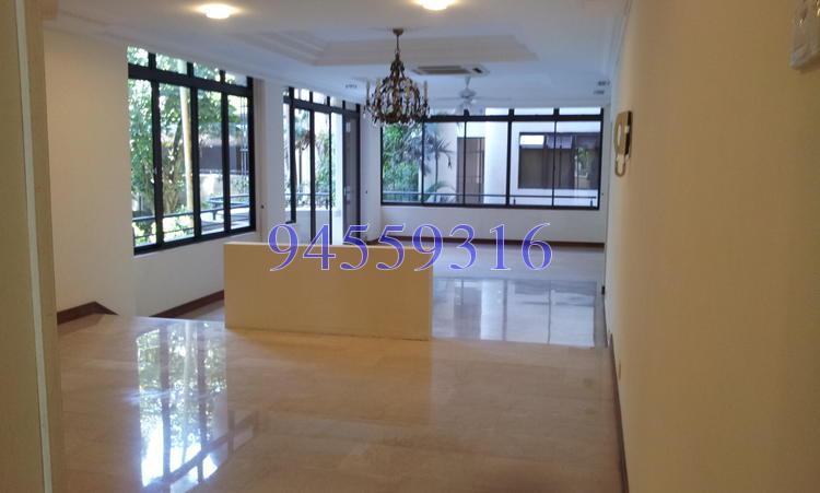 The Balmoral (D10), Condominium #155475902